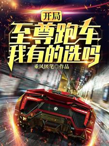 《林凡沈丽丽》小说