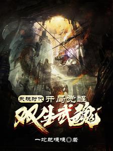 《武魂时代：开局觉醒双生武魂陈凡刘琳李梅王强》陈凡刘琳李梅王强