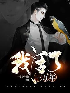 《唐风唐文昊唐梓凝许宁》小说