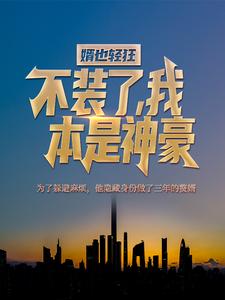 《林阳许苏晴宋婉月许国华》小说