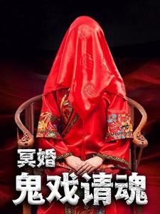 《郑军胖子杨程穆桂英》小说