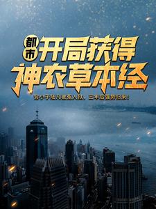 《林天沈瑶郝剑林忆》小说