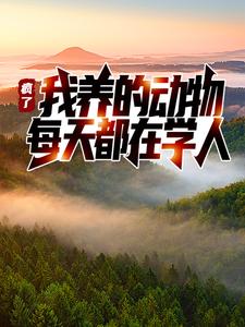 《杨林阿伟李伟李强》小说