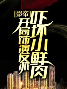 《林宇》小说