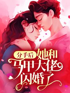 《分手后，她和马甲大佬闪婚了》林初夏苏北辰江末寒赵芳