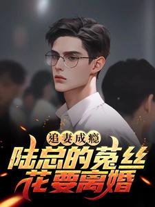 《追妻成瘾：陆总的菟丝花要离婚》江澜陆竟池夏颜