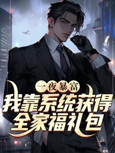 《陈岳》小说