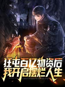 《方洛苏青青丈母娘》小说