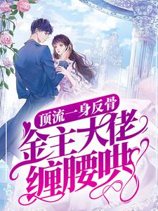《顶流一身反骨，金主大佬缠腰哄》向暖沈宴时郑暄林庄琳娜