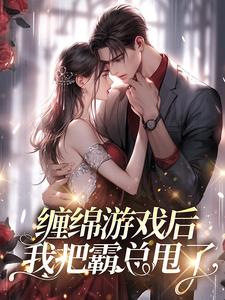 《缠绵游戏后，我把霸总甩了》梁数叶哥林哥穆总