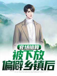 《官场暗算：被下放偏僻乡镇后》李振华苗世雄朱科长曾花