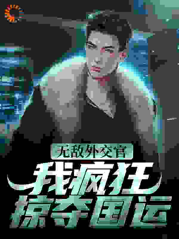 《林宇麦瑞克金敏宗安国民》小说