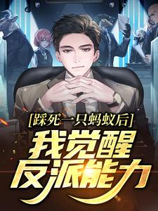 《林观南林观山穆罡阿修罗之愿》小说