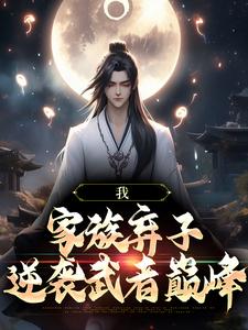 《我，家族弃子，逆袭武者巅峰》叶兴小玉叶正羽叶正祥