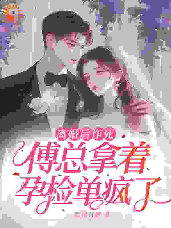 《离婚后诈死，傅总拿着孕检单疯了》盛云汐傅予寒周妍妍赵律师