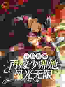 《开局离婚！再嫁少帅她风光无限沈知章谢扶光云之沈宝先》沈知章谢扶光云之沈宝先