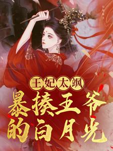 《王妃太飒，穿越就暴揍王爷的白月光江眠赫连清》江眠赫连清