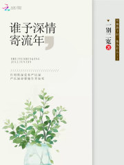 《谁予深情寄流年》严以深许明珠苏一沉许建国