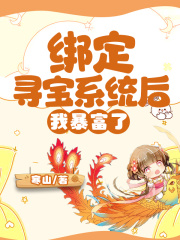 《秦公子顾长梦戚长梦柳姨娘》小说