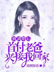 《被离婚后，首富老爸来接我回家高敬高孝吴子安高老太太》高敬高孝吴子安高老太太