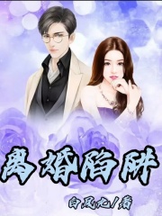 《张存友老周婆婆我妈》小说