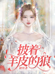 《老公继妹林媛媛圆子》小说