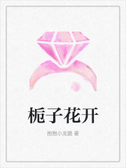 《林深苏柠白月光白栀》小说