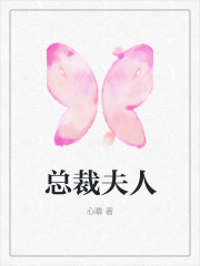 《总裁夫人》白雅许靳周媛王建