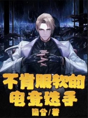《wings洛飞我爸》小说