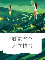 《沈初月李可晴沈立华李国之》小说