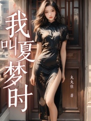 《我叫夏梦时》夏梦时张铁军阳阳张德震