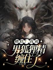 《婷婷潇潇狐仙老爷出马仙》小说