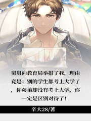 《周浩轩周泰何报国》小说