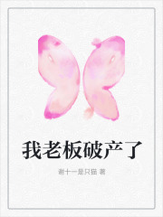 《我老板破产了》沈桥老板