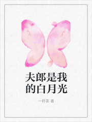 《夫郎是我的白月光》林窥张肆柳儿