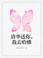 《吴菀婴傅离泰雅路佳佳》小说