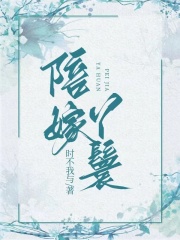 《陪嫁丫鬟》沈玉珠万安喜顺贵妃