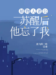 《陆沉柳如烟陆尘》小说