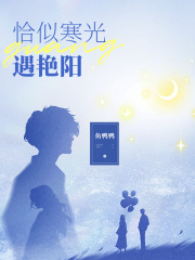 《恰似寒光遇艳阳》陆昼沈知袅秦不晚林森