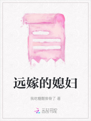 《沈向南李素如婆婆公公》小说