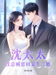 《沈太太，沈总喊您回家生三胎沈淮之时予沈之珩苏染》沈淮之时予沈之珩苏染