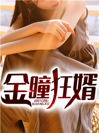 《周传生林崇生林雪陆佳慧》小说