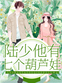 《顾耀国顾婉顾梦赵心兰》小说