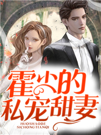 《江南九爷霍老太太江震天》小说