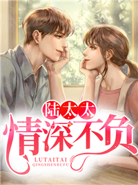 《秦澜宁城沈城远秦向暖》小说