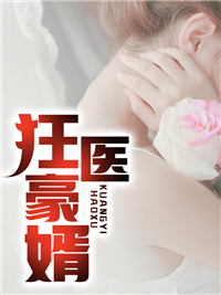 《胡昊天苏涵月何超群丈母娘》小说