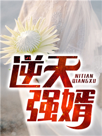 《逆天强婿》张辰林婉婷林圣韩莉