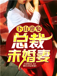 《叶青老道苏宏苏老》小说