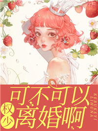 《权少，可不可以离婚啊》夏天权天睿李锦局长
