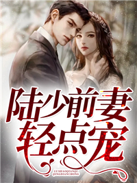 《陆少前妻轻点宠》乔冷心陆清寒乔若星乔冷默